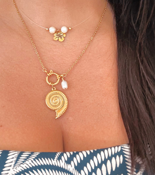 Caracol de Verano